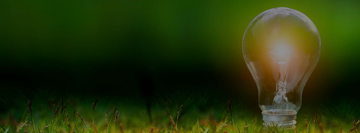 An illuminated light bulb on a grassy field